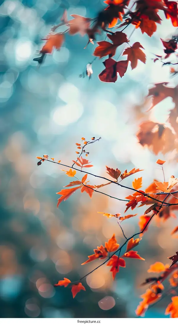 Autumn Leaves on a Branch with a Blurred Background