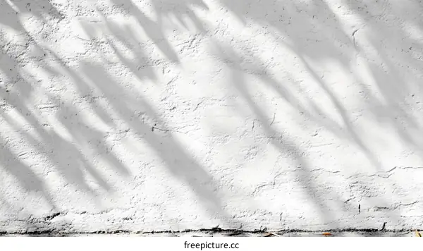White Wall Texture with Plant Shadows