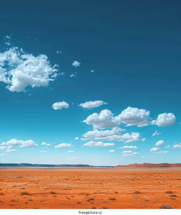 A Vast Expanse of Desert Sky