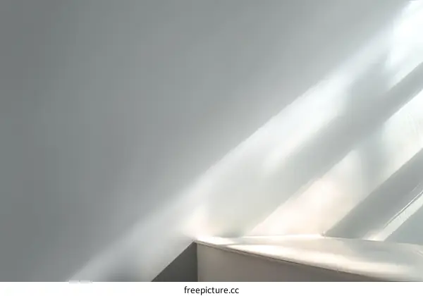 Sunlight Shadows on a Light Gray Wall