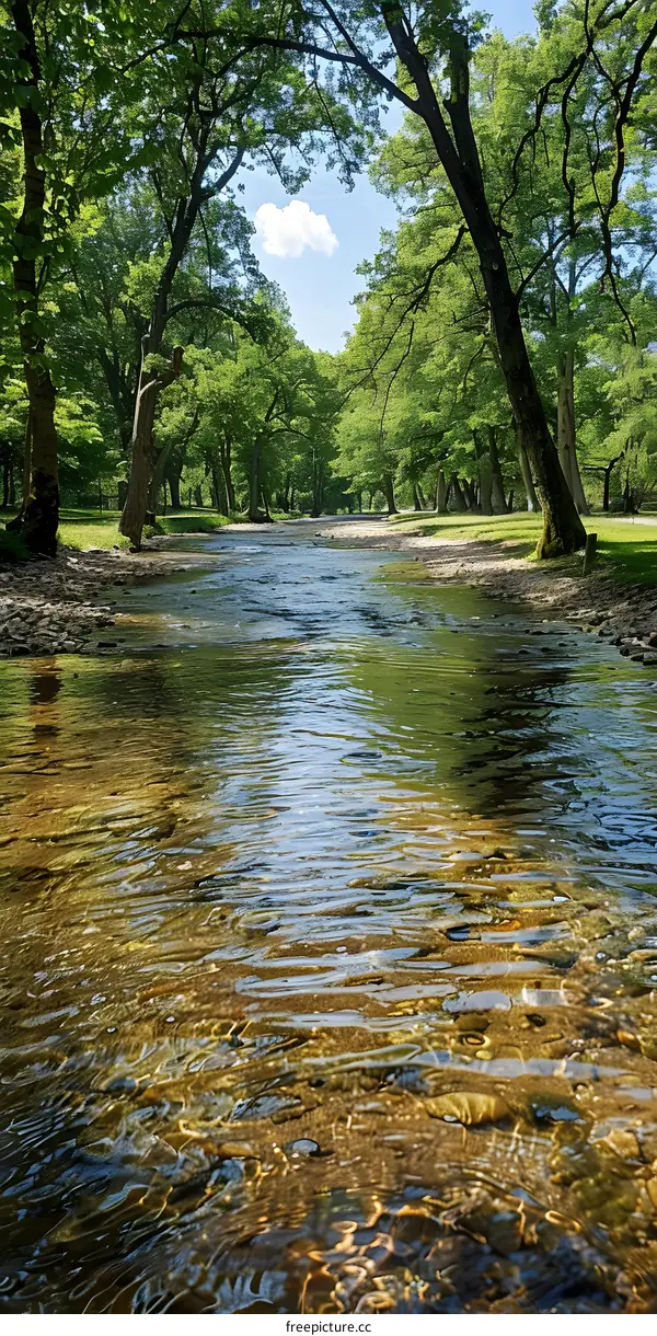 A beautiful river flowing through a lush green forest