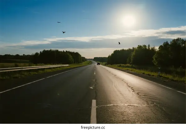 Sunny highway with clear sky and flying birds