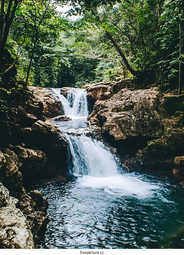 Waterfall in Lush Green Forest