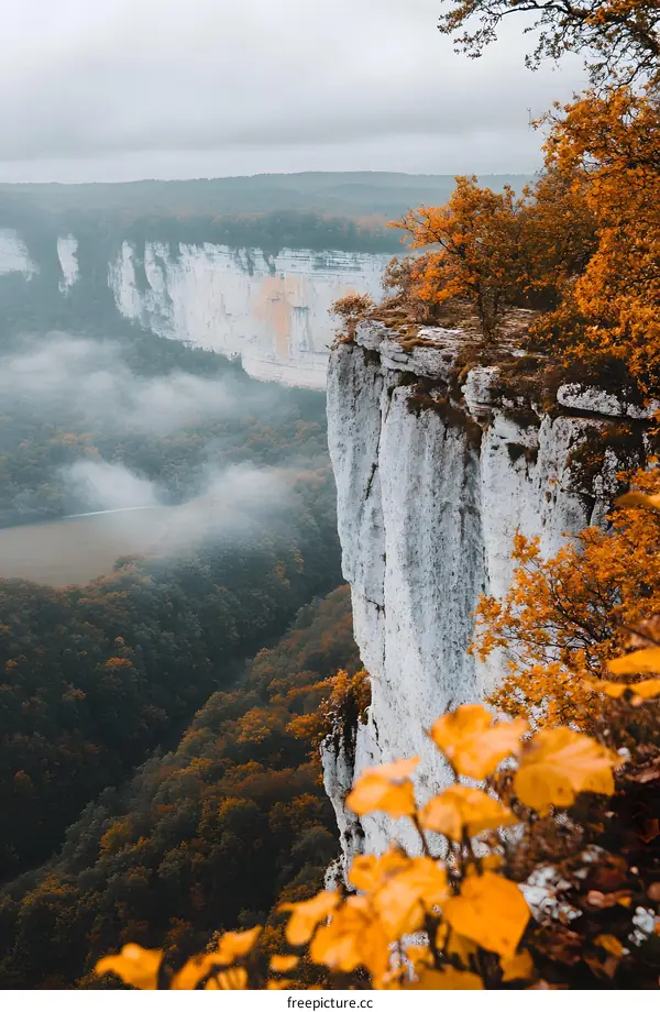 Cliffside View of a Foggy Valley in Autumn