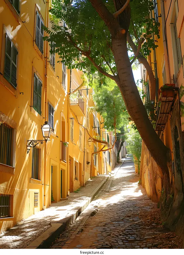 Narrow street with yellow buildings and a large tree