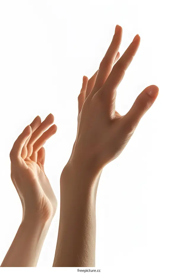 Two elegant female hands with open palms reaching up in the air isolated on white background