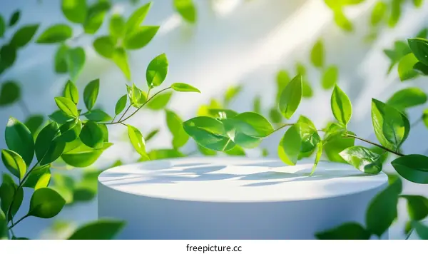 Fresh Green Leaves Display Stand