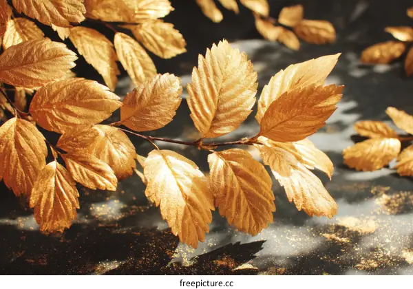 Golden Leaves on a Dark Background