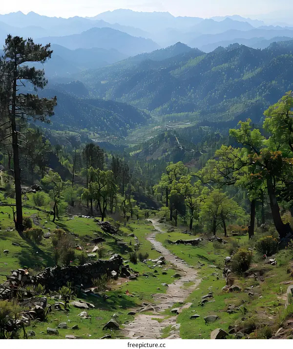 Mountain path through lush green valley