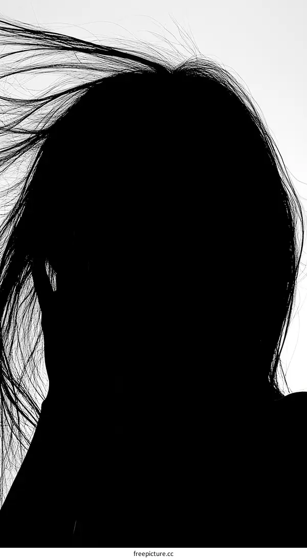 Silhouette of a Woman with Windswept Hair