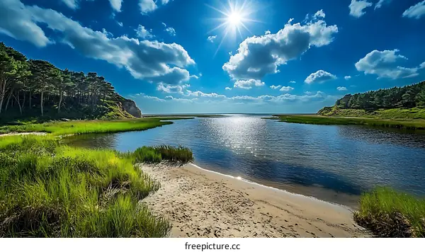 Beautiful Sunny Coastal Landscape with Blue Water