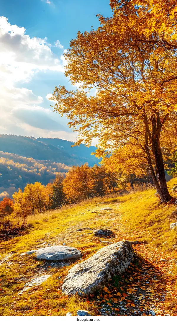 Golden Autumn Landscape With A Path Through The Trees