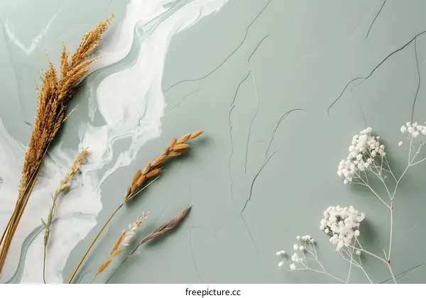 Dried Flowers and Wheat Sprigs on Green Background