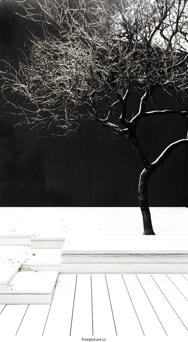 Winter Tree Silhouette on White Wooden Deck