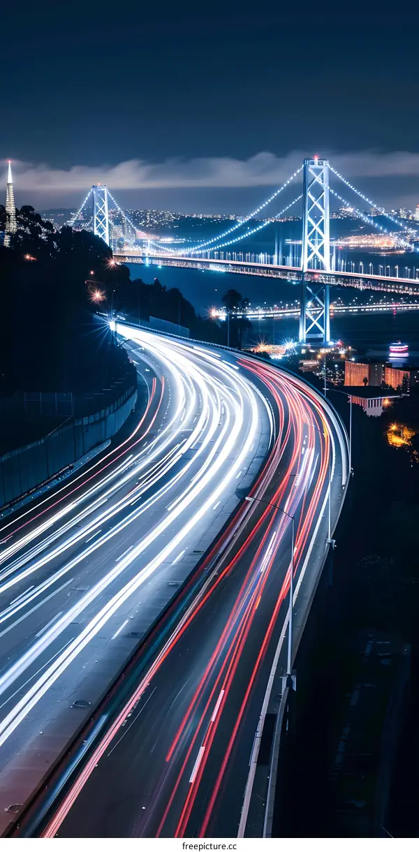 Night View of City with Highway and Bridge