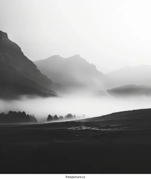 Foggy Mountains Photography