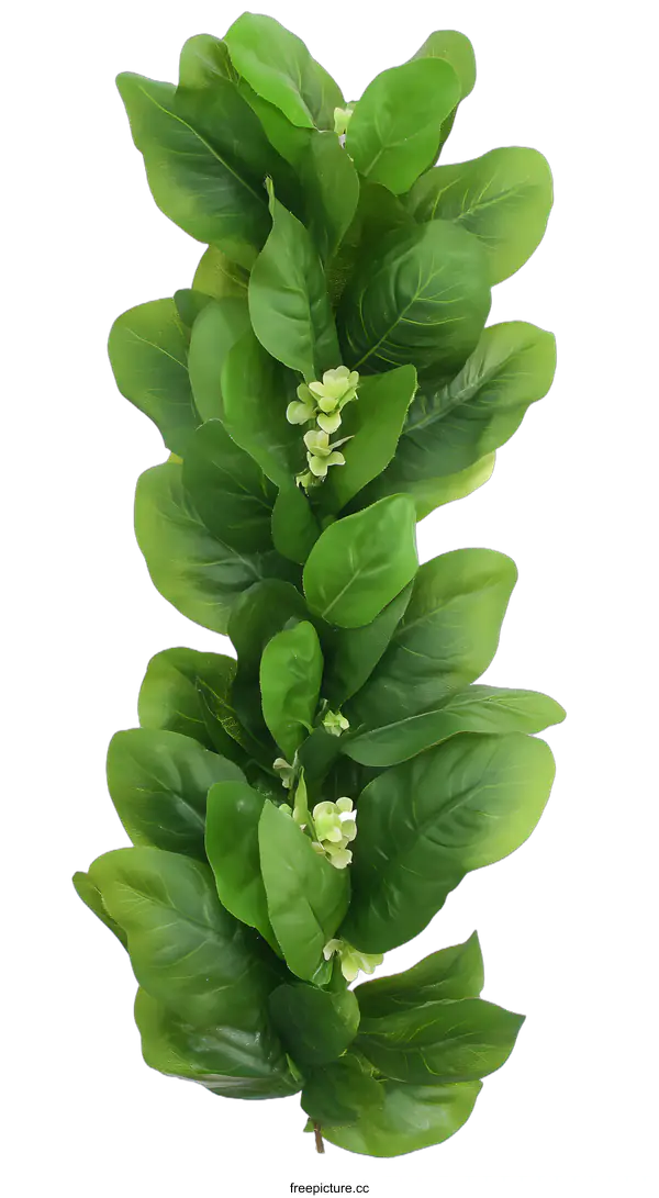 [Transparent Background PNG]Artificial Green Leaf Garland with White Flowers