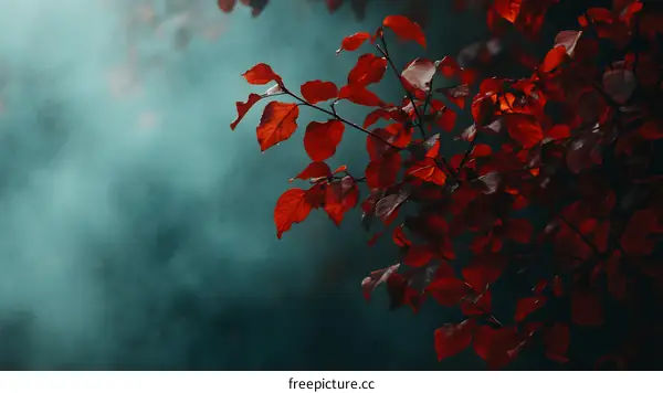 Red Leaves Branch Against Blue Fog