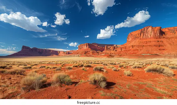 Canyonlands National Park: Desert Landscape with Mesas and Buttes
