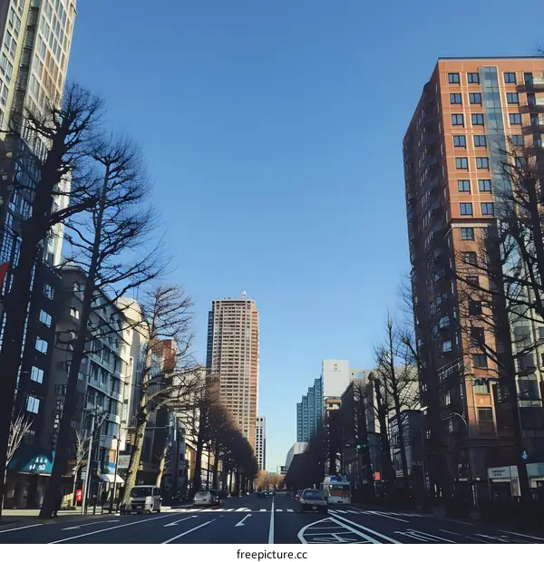 Cityscape with Tall Buildings and Bare Trees on a Sunny Day