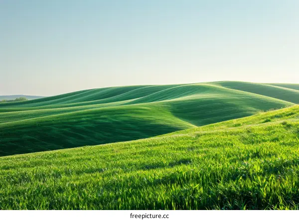 Green rolling hills under a clear blue sky