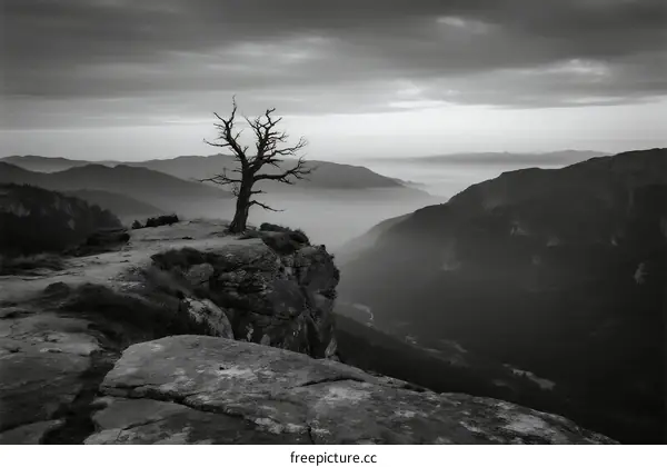 Lone Tree Standing on Rocky Cliff Overlooking Misty Valley at Dawn