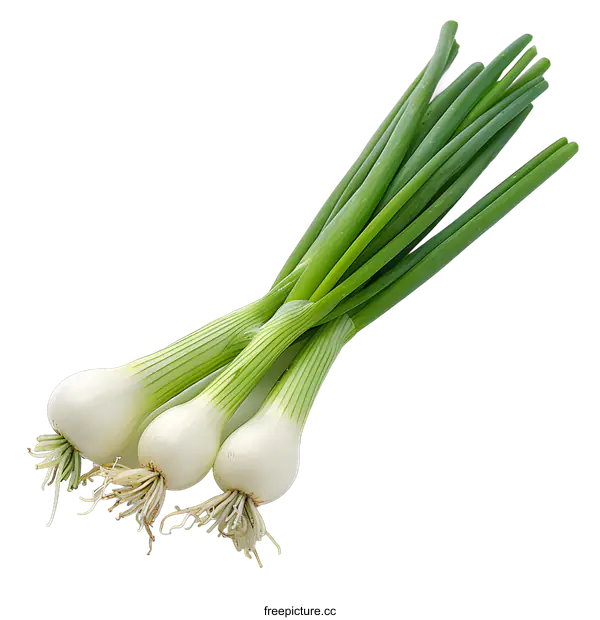 [Transparent Background PNG]three white onions with green leaves