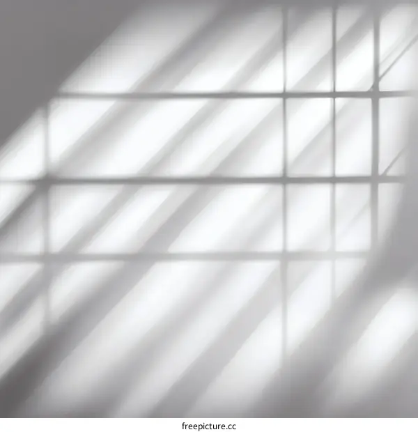 Elegant Shadows Play on Window Pane