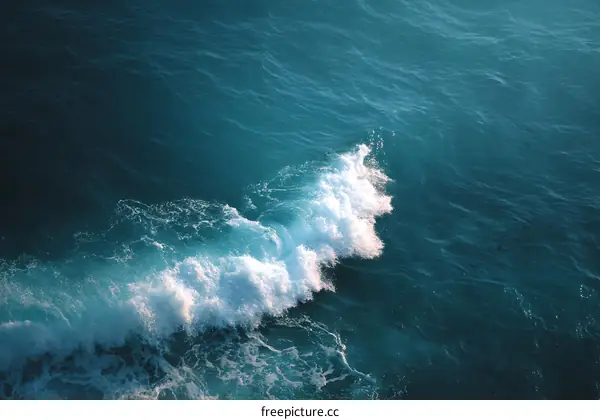 Ocean Waves Crashing on the Shore
