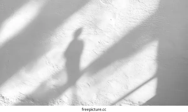 Shadow of a Person on a White Wall