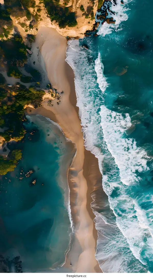 Aerial View of Sandy Beach Meeting Ocean Waves
