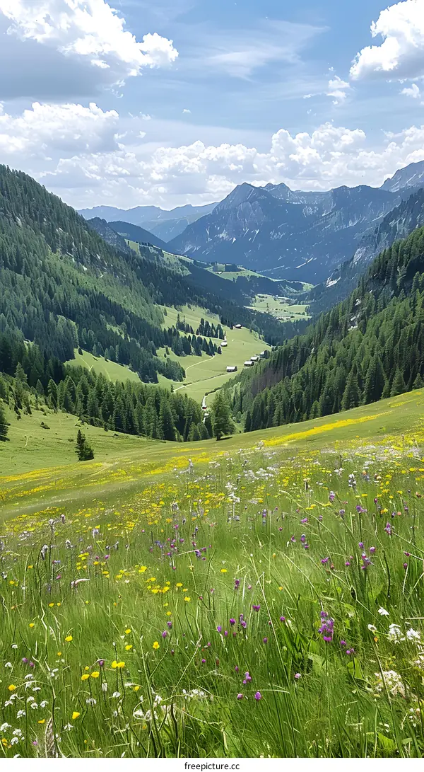 A lush green valley in the Austrian Alps with a meadow full of wildflowers in the foreground