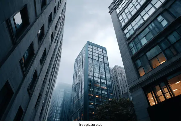 Modern Skyscrapers in a Cityscape