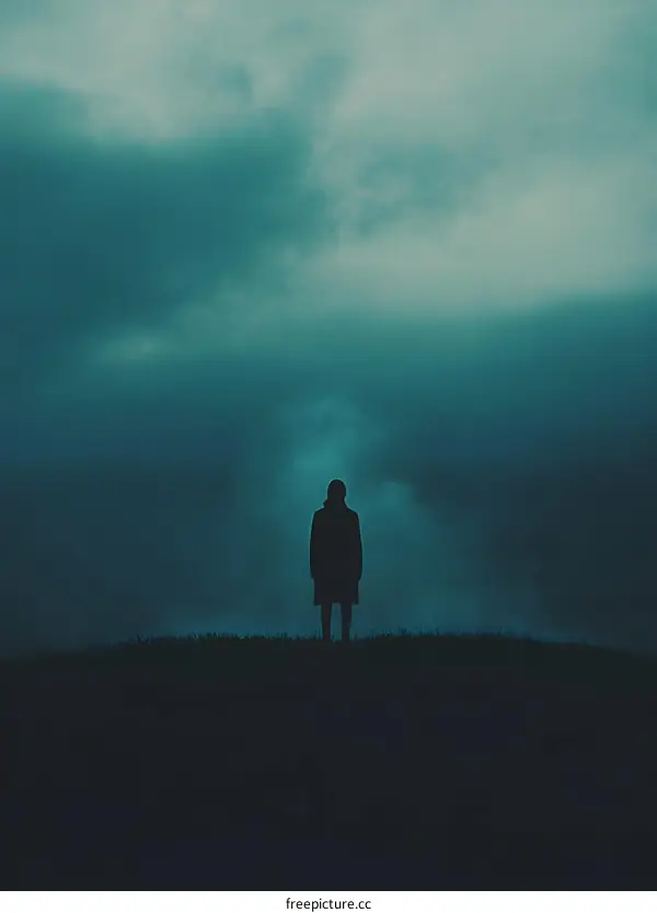 Silhouette of Person Standing on a Hilltop