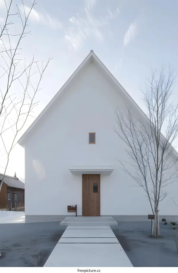Minimalist White House With Wooden Door And Pathway