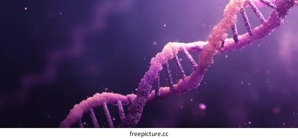 Beautiful DNA Double Helix Structure