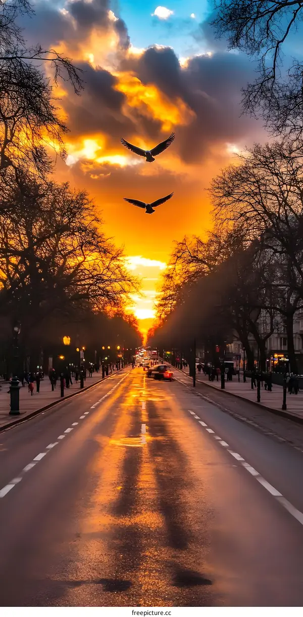Sunset Over City Street With Birds Flying
