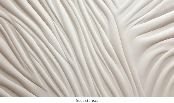 Close-up of the surface of a large, off-white mushroom cap