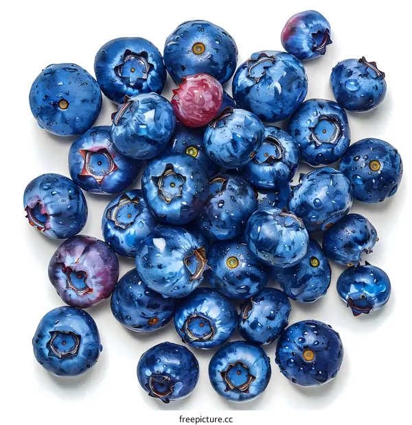 Blueberries close up