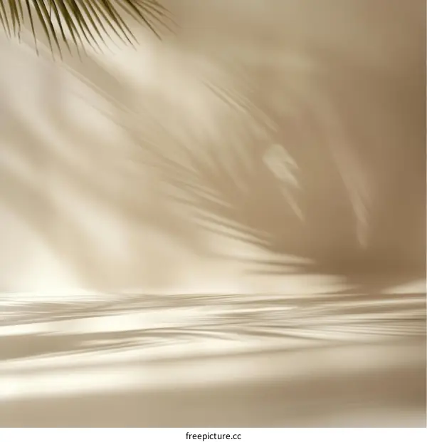 Beige Background with Palm Leaf Shadows