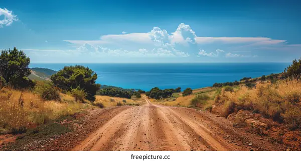Path to the Tranquil Ocean