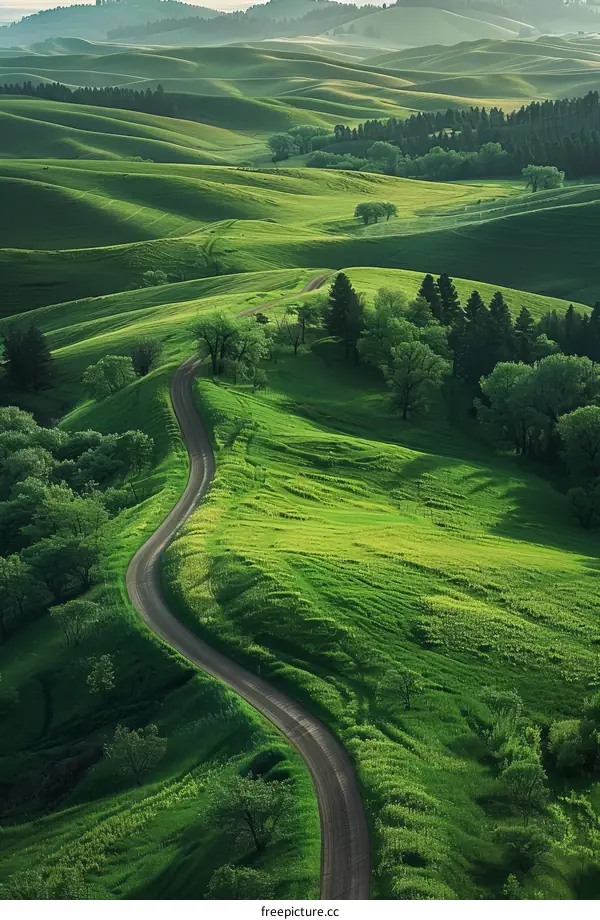 Green rolling hills with a winding road through the valley