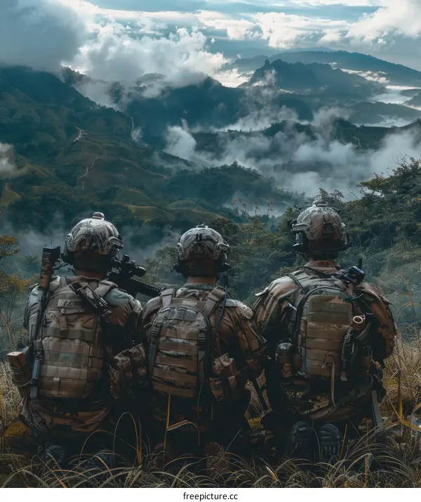 Three soldiers looking at a mountain range