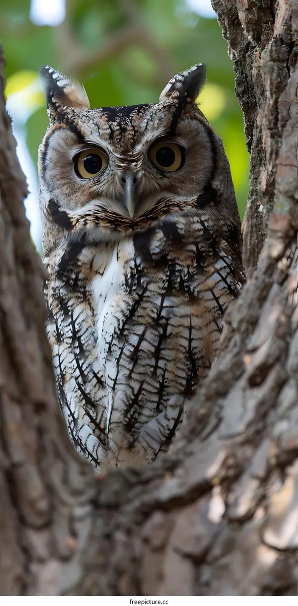 A close up of an owl perched in a tree