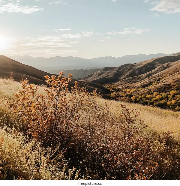 Golden Hour in the Mountains