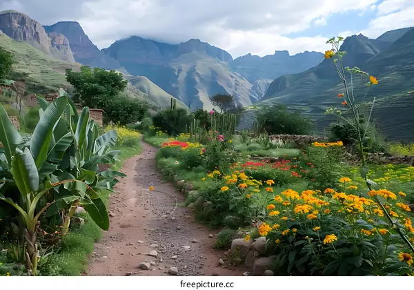 Colorful mountain path with flowers and banana trees