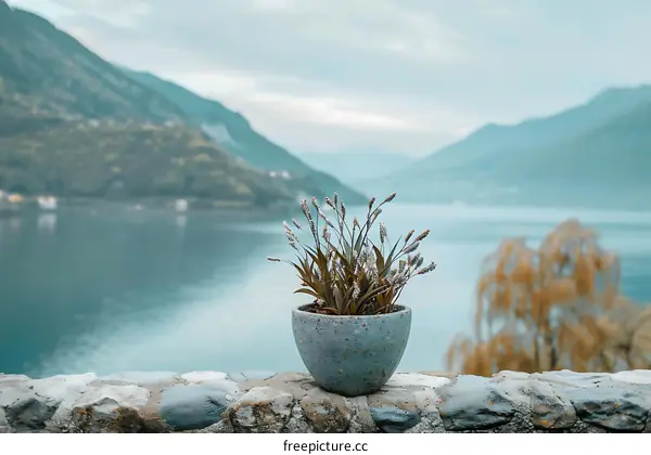 Potted Plant Against A Mountain Lake Background