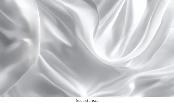 Elegant White Silk Fabric Texture