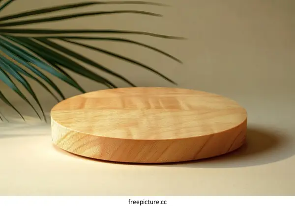 Natural Wooden Display Stand