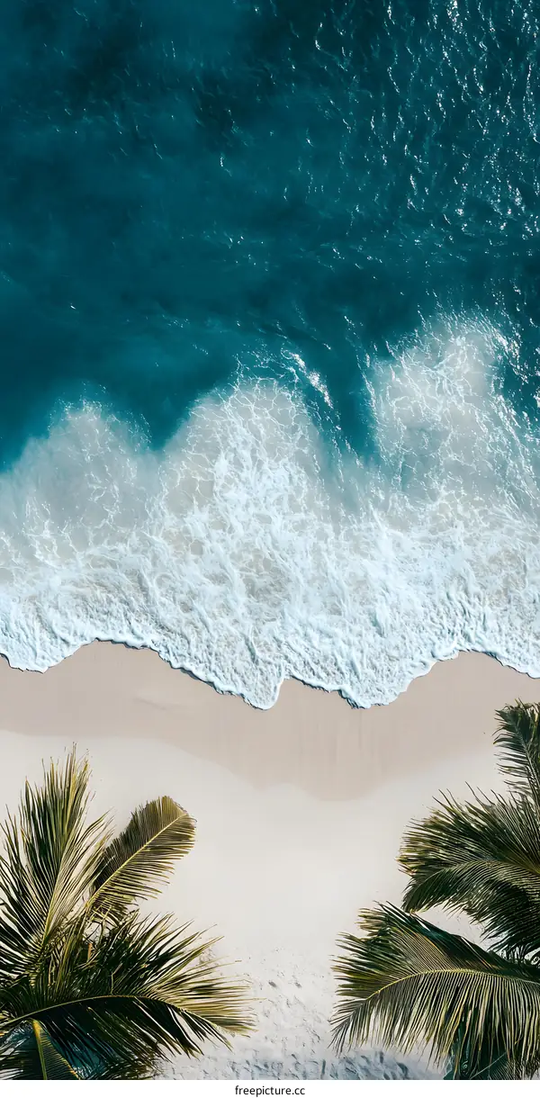 Tropical Beach with White Sand and Blue Ocean